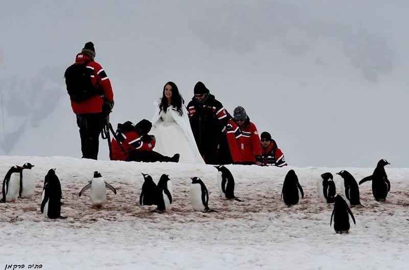 פרק ביומן מתוך מסע צילום לאנטארקטיקה