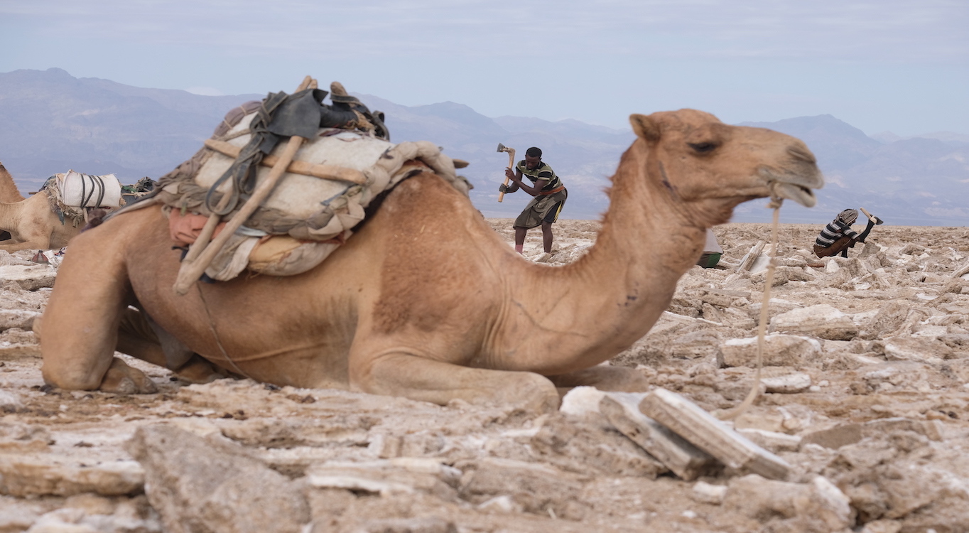 'החיים על מאדים' - אתיופיה, איתמר פלג