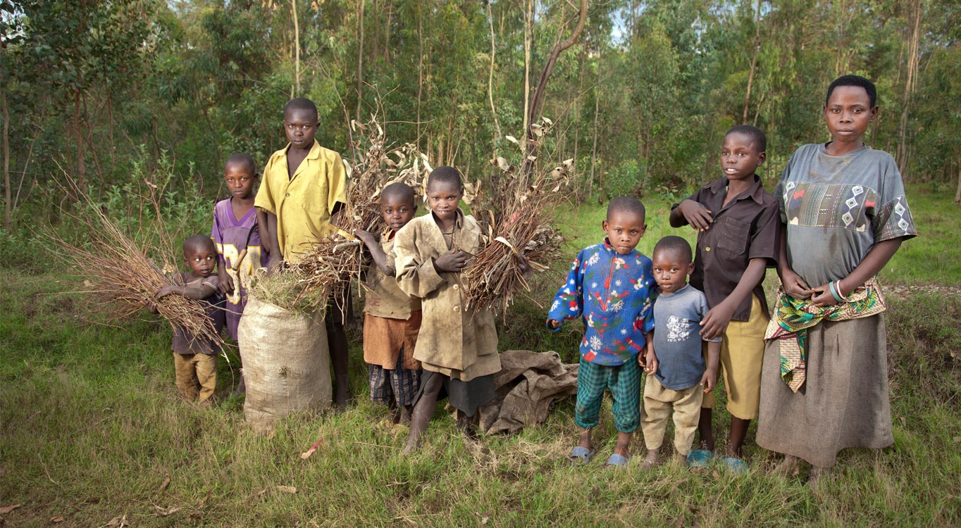 צילום: אודי גורן