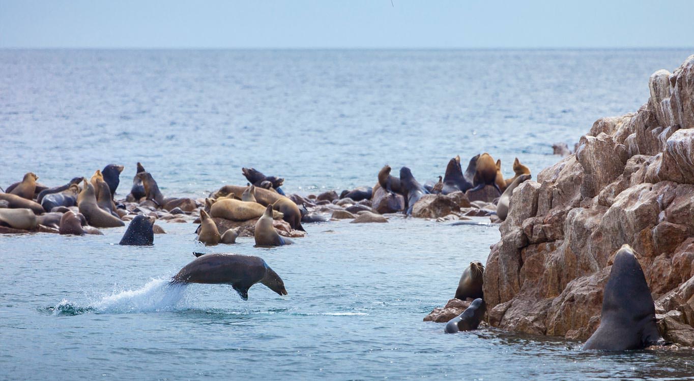 צילום: אודי גורן